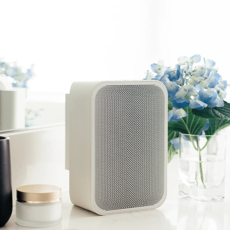 Combo Bluesound Pulse Flex 2i + enceinte BP100 et batterie - Image 4