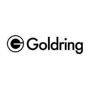 Stylet de remplacement Goldring D22GX (pour GL1022GX)